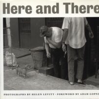 LEVITT~Helen - Here and There