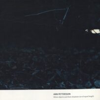 PETTERSON~Ann - When Objects and their Shadows are equal Length