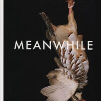 SHAHBAZI~Shirana - Meanwhile