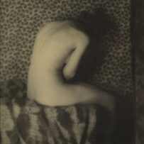 Keeping Shadows - Photography at the Worcester Art Museum