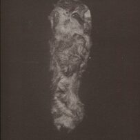 Eimermacher / Martin Brandsma~Sibylle  - 'ARCHIVES OF ABSENCE, ARCHIVES OF PRESENCE'