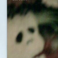 Schot~Ben - Ectojizzed*