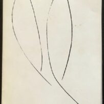 Bosch~Rinus van den - 'EIDENAI, 365 tekeningen, ontwerpen, gemengde technieken, schilderijen, foto's, voorstellen van 1943 t/m 1983