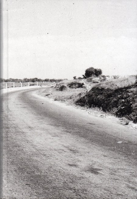 Moos~Mimi von - `Die Verwandte'.*