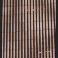 Gelatin: The B-Thing (sold)