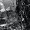 Richards~Eugene - 'Stepping through the ashes.' - Image 4