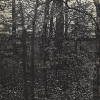 Buren~Daniel - Vanaf