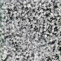 Gonzalez-Torres~Felix(sold)