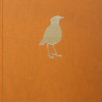 López~Anaïs - 'The Migrant'.(sold)