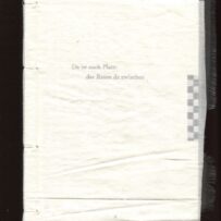 HEMMERS~Maike - 'Da ist auch Platz: der Raum da zwischen'.