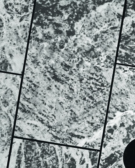 Princen~Bas - 'Wiel Arets'