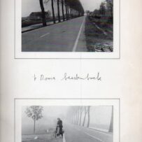 Vries, Hans de - t' Dooie Beestenboek*