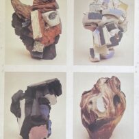 Boom, Harry - 20 portretten