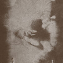 Mesić , Lana - When you Point a Finger, Three are Pointing Back*