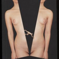 HOMMAGE A BAUDELAIRE