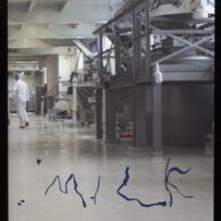 Shalem, Marit - MILK