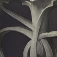 Horta, 17 1 73 -> 15 4 73