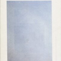 Kreij, Marijn van - How to Look Out