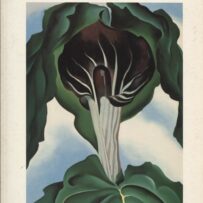 O'Keeffe, Georgia - 1887-1986 Bloemen in de woestijn