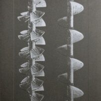 Suter, Batia - La Nonpareille*